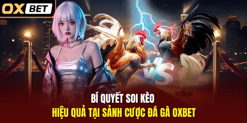 Bí quyết soi kèo hiệu quả tại sảnh cược đá gà OXBET 