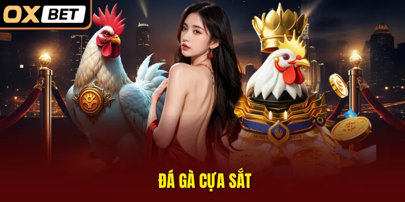 Đá gà cựa sắt