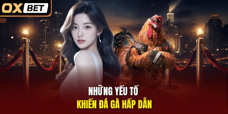 Những yếu tố khiến đá gà hấp dẫn