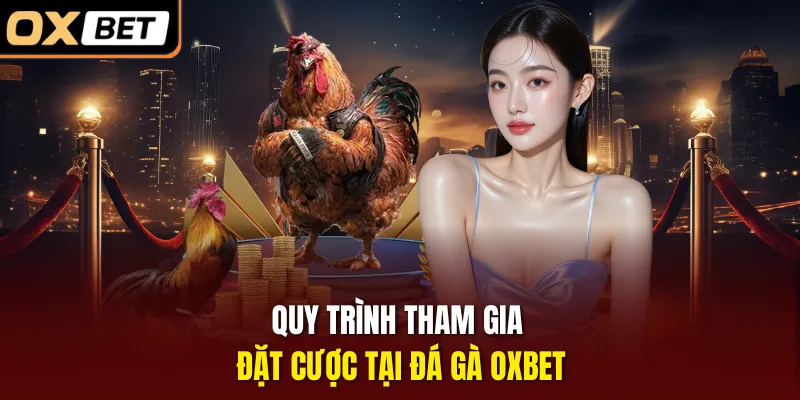 Quy trình tham gia đặt cược tại đá gà OXBET