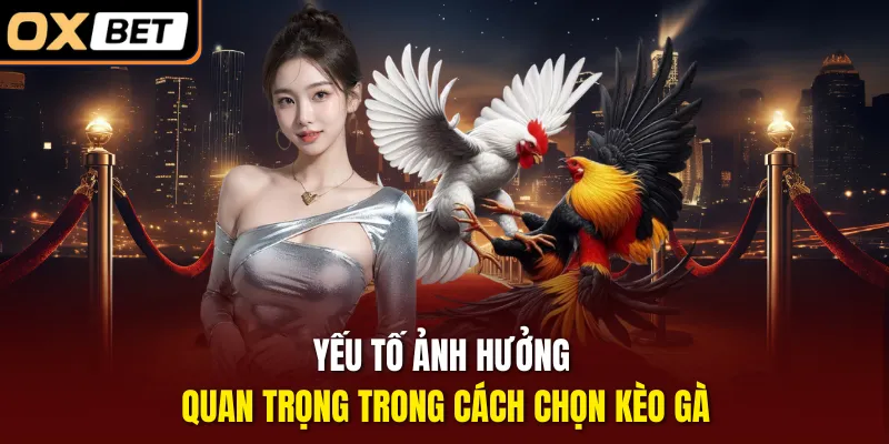 Yếu tố ảnh hưởng quan trọng trong cách chọn kèo gà